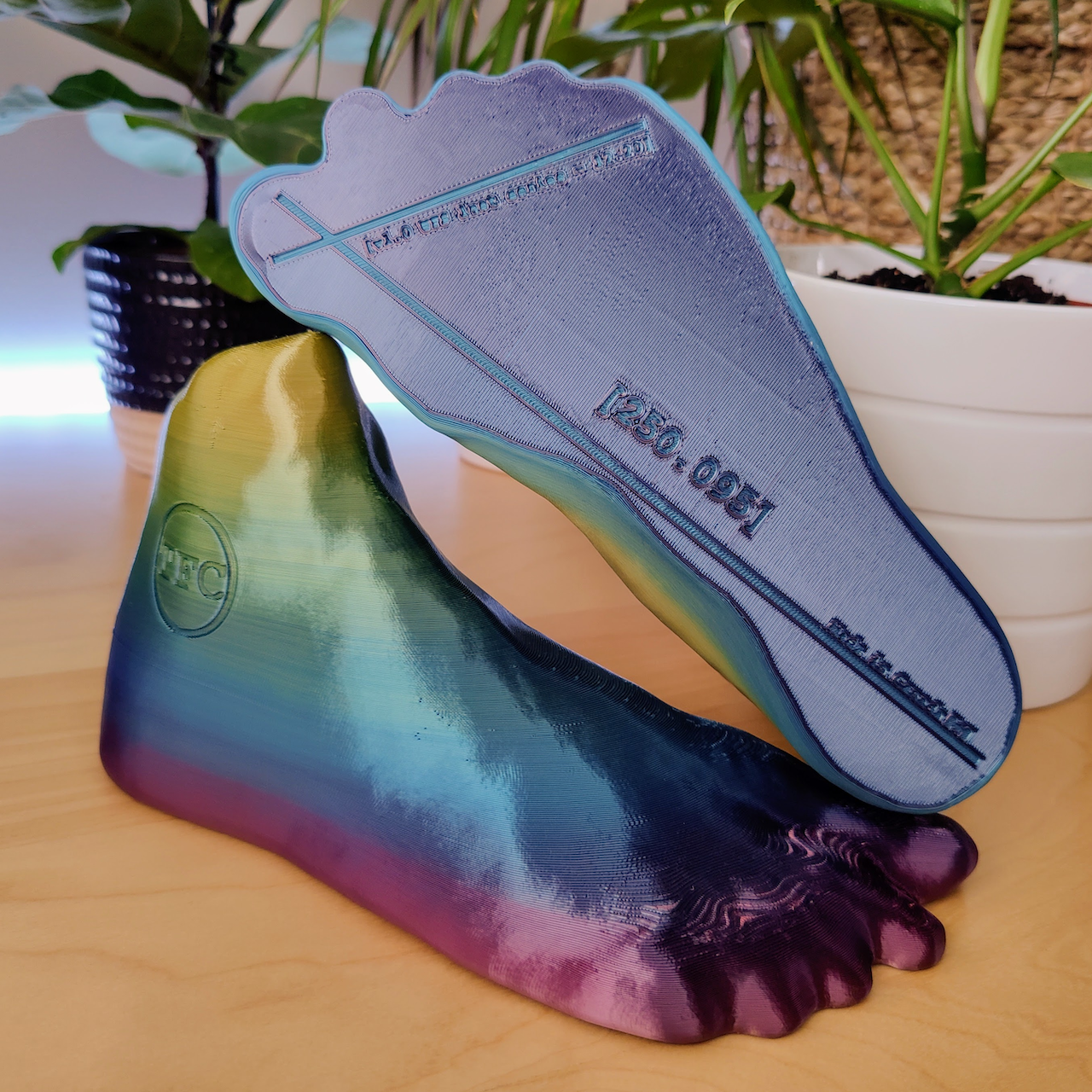 Shoe Last Mold